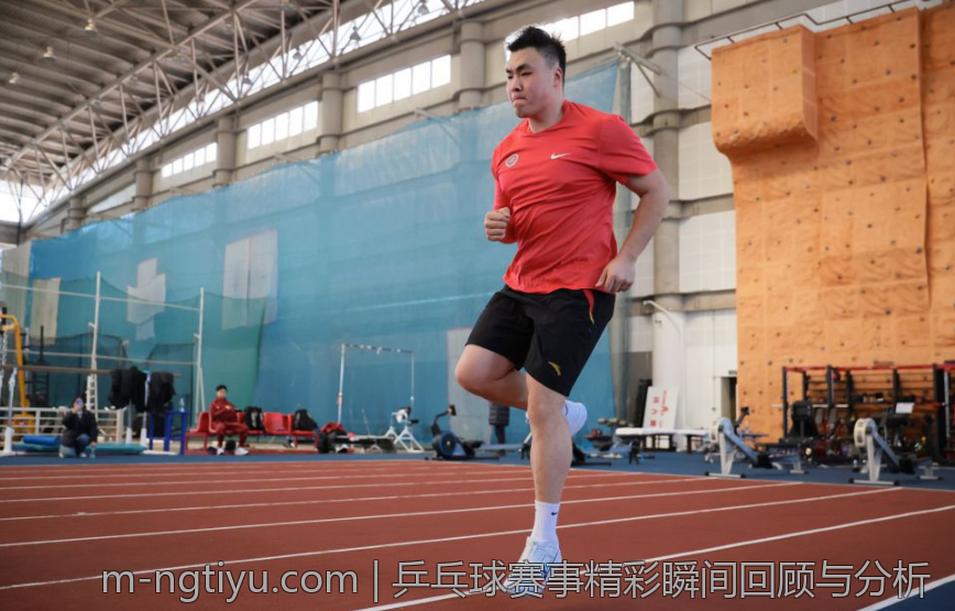 乒乓球赛事精彩瞬间回顾与分析