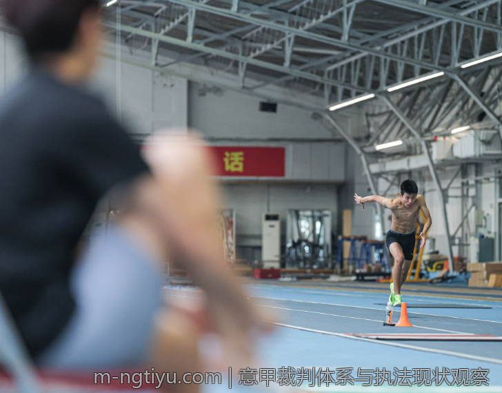 意甲裁判体系与执法现状观察