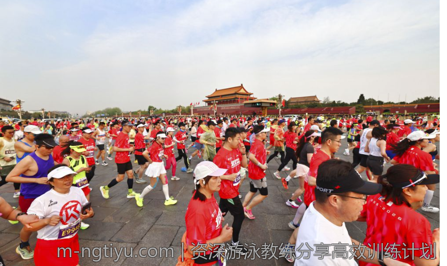 资深游泳教练分享高效训练计划